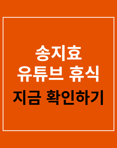 송지효 유튜브 휴식