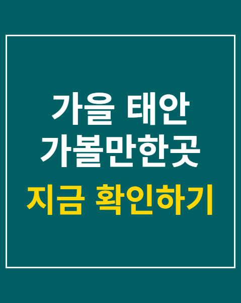 가을 태안 가볼만한곳