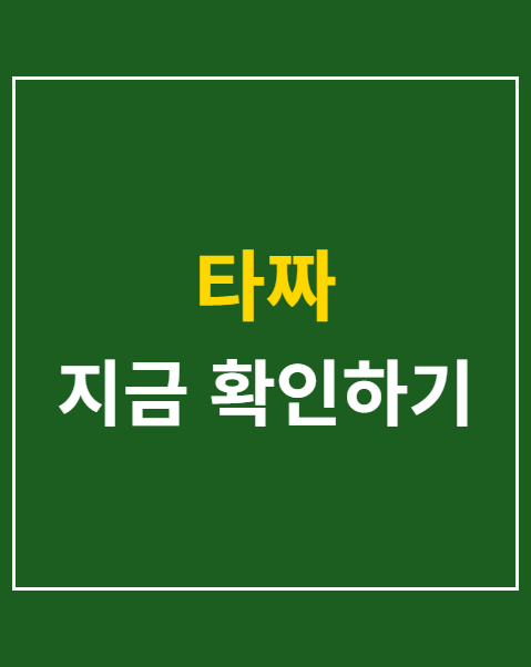 타짜