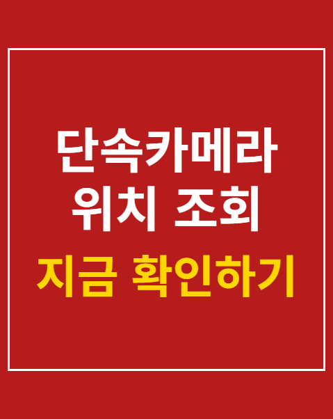 단속카메라 위치 조회