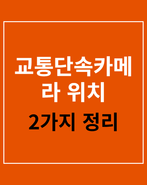교통단속카메라 위치 조회