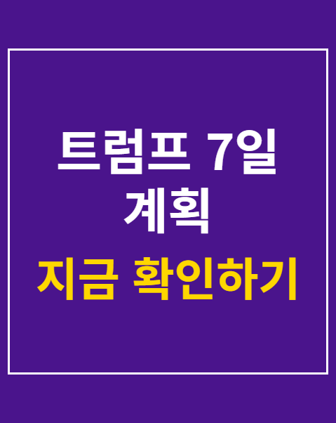 트럼프 7일 계획