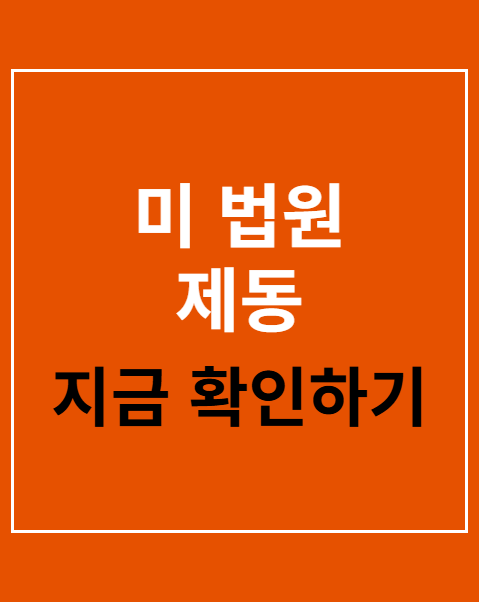미 법원 제동
