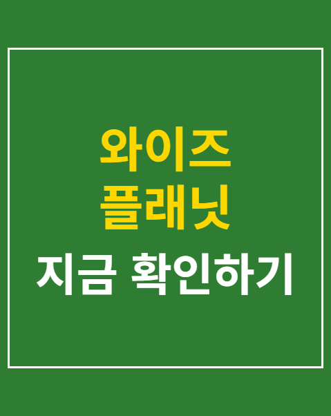 와이즈 플래닛 컴퍼니