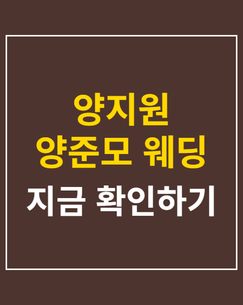 양지원 양준모 웨딩 화보
