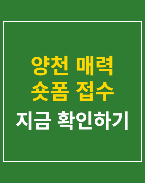 양천 매력 숏폼 접수