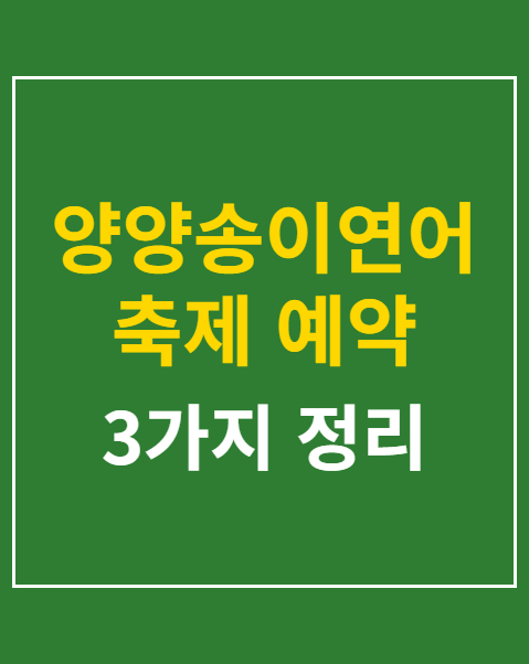 양양송이연어축제 예약