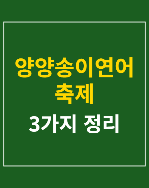 송이보물찾기
