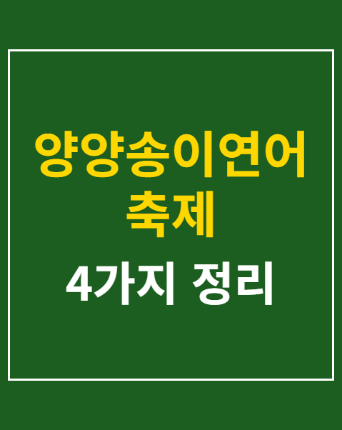 양양송이연어축제 연어맨손잡기