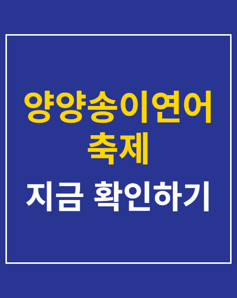 양양송이연어축제 주차장 위치