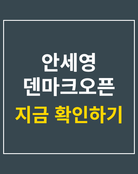 안세영 덴마크오픈 2연패
