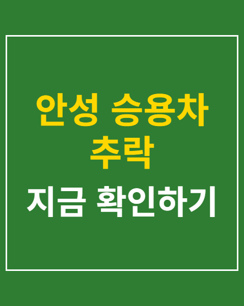 안성 승용차 추락