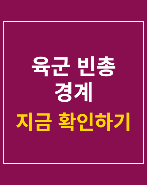 육군 빈총 경계