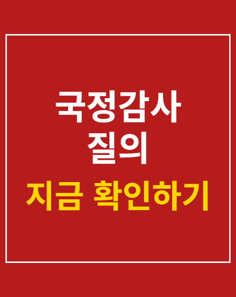 국정감사 질의