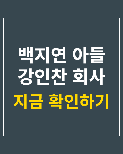백지연 아들 강인찬 회사