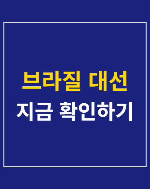 브라질 대선