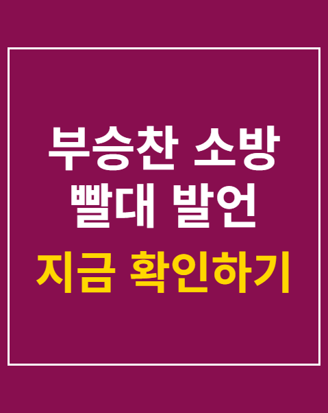 부승찬 소방 빨대 발언