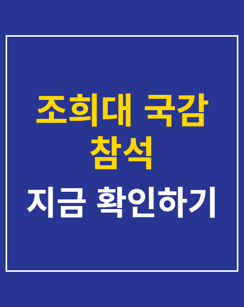 조희대 국감 참석