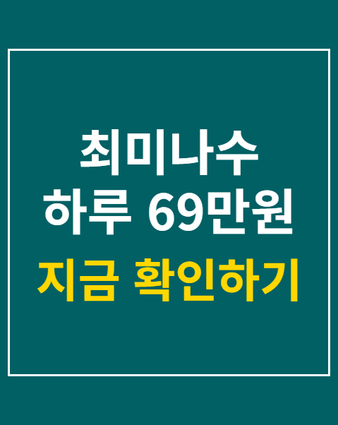최미나수 하루 69만원 소비
