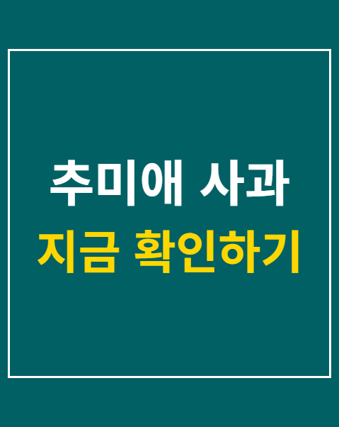 추미애 사과