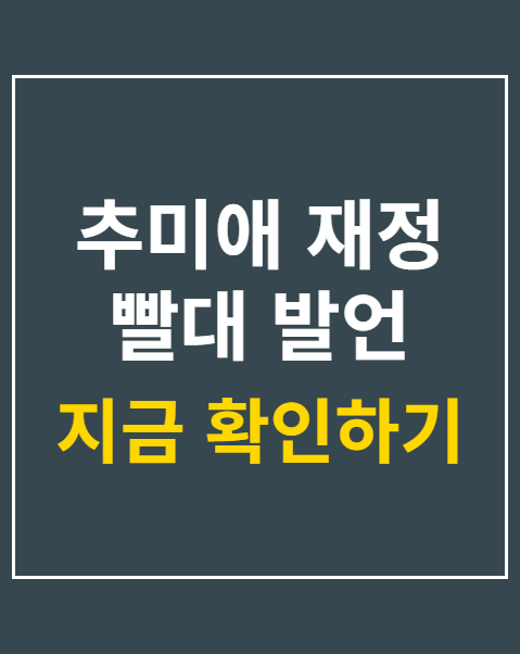 추미애 재정 빨대 발언