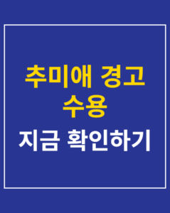choo mi ae warning acceptance korea01 thumbnail