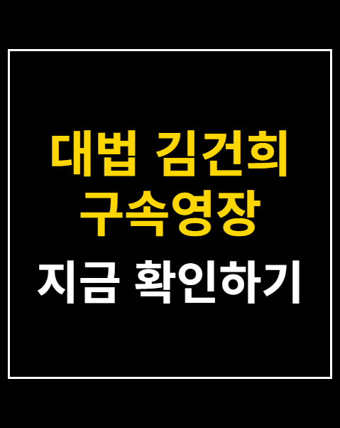 대법 김건희 구속영장