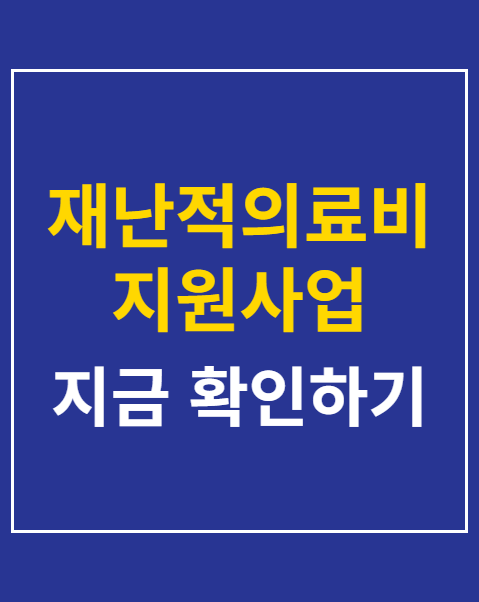 재난적의료비 지원사업