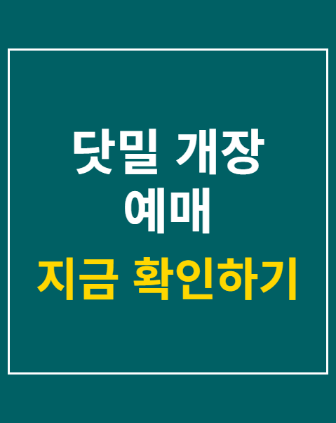 닷밀 개장 예매