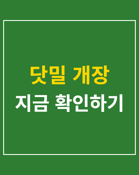 닷밀 개장