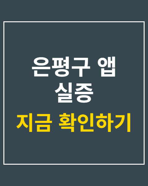 은평구 앱 실증