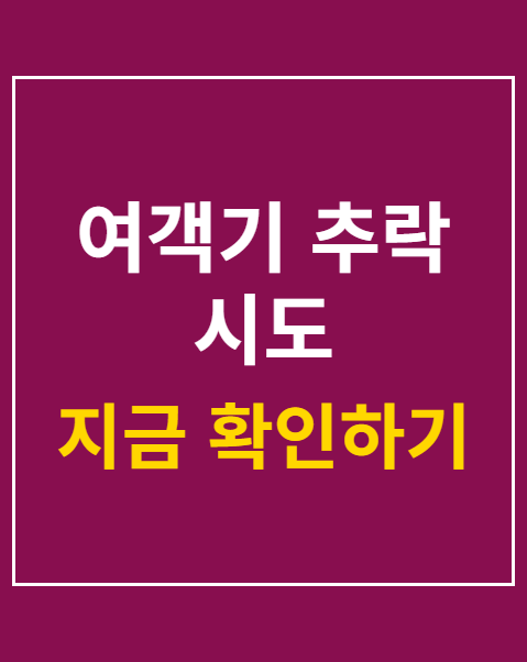 여객기 추락 시도