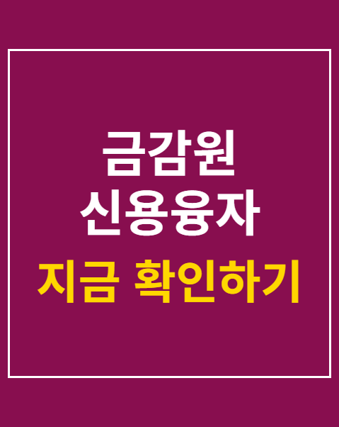 금감원 신용융자 관리