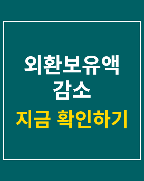 외환보유액 감소