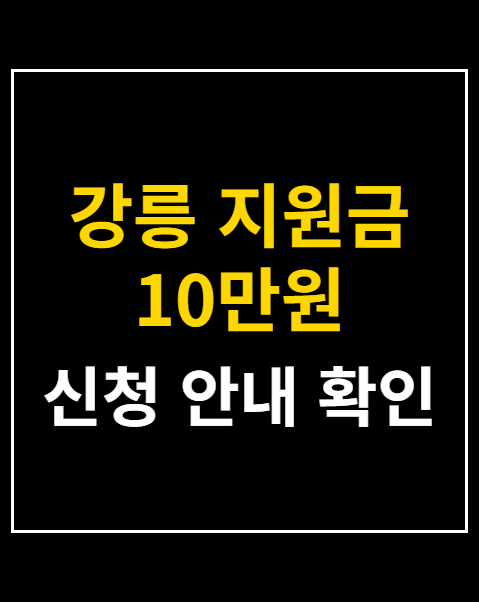 강릉 지원금 10만원