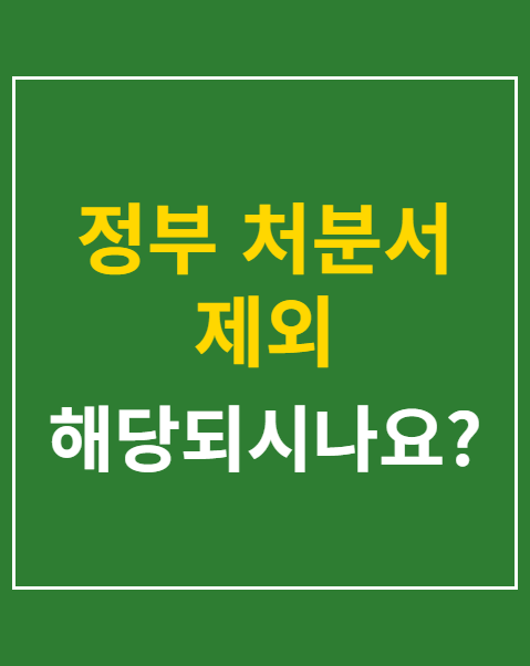 정부 처분서 제외