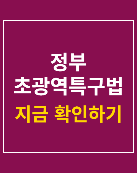 정부 초광역특구법