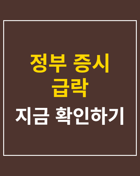 정부 증시 급락