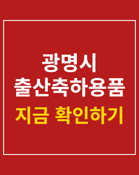광명시 출산축하용품 지원사업