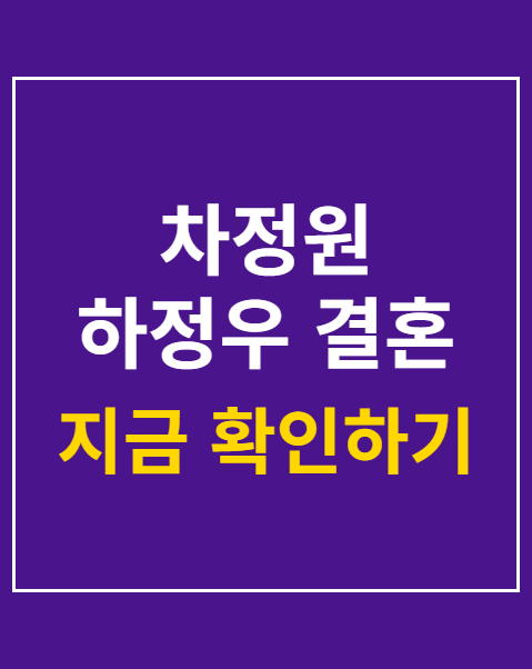 차정원 하정우 결혼