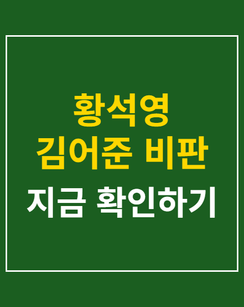 황석영 김어준 비판