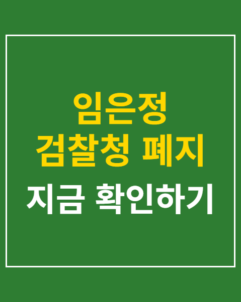 임은정 검찰청 폐지