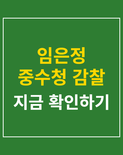 임은정 중수청 감찰