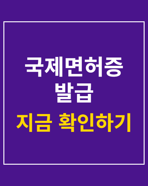 국제면허증 발급