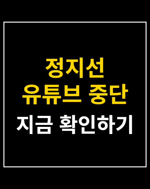 정지선 유튜브 중단