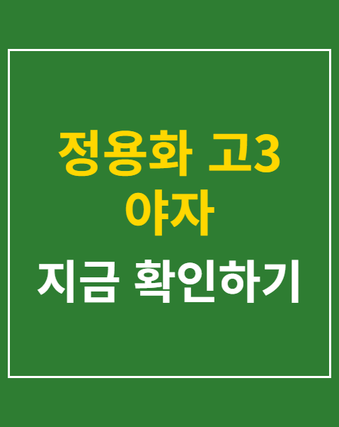 정용화 고3 야자