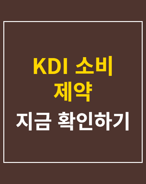 KDI 소비 제약