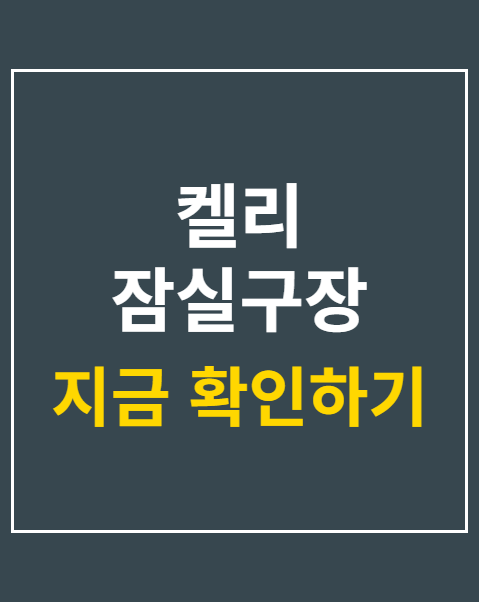 켈리 잠실구장 인사