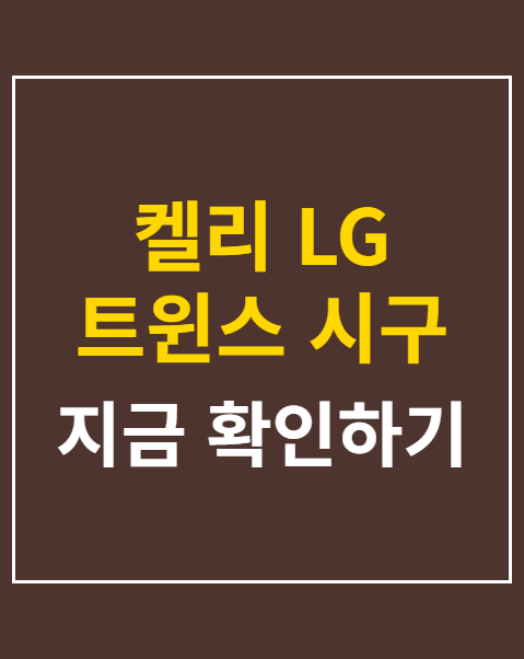 켈리 LG 트윈스 시구
