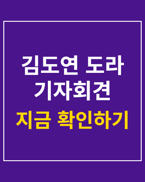 김도연 도라 기자회견